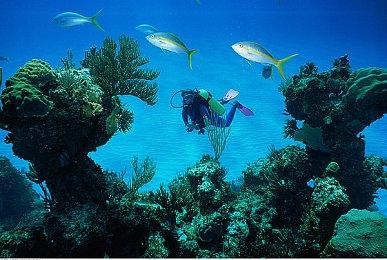 锻炼大脑 3D数独游戏《SudoKube》将于5月17日在Steam发售